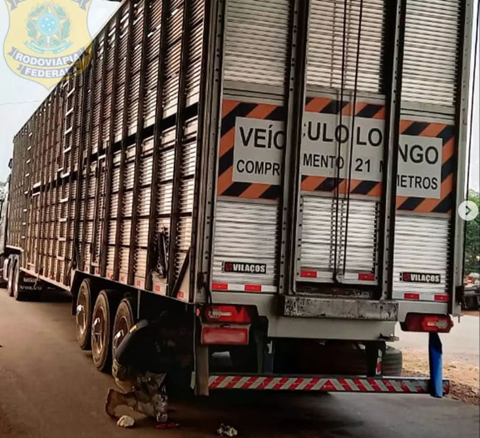 Caminhão boiadeiro roubado foi recuperado pela PRF em Porto Velho — Foto: Divulgação/PRF