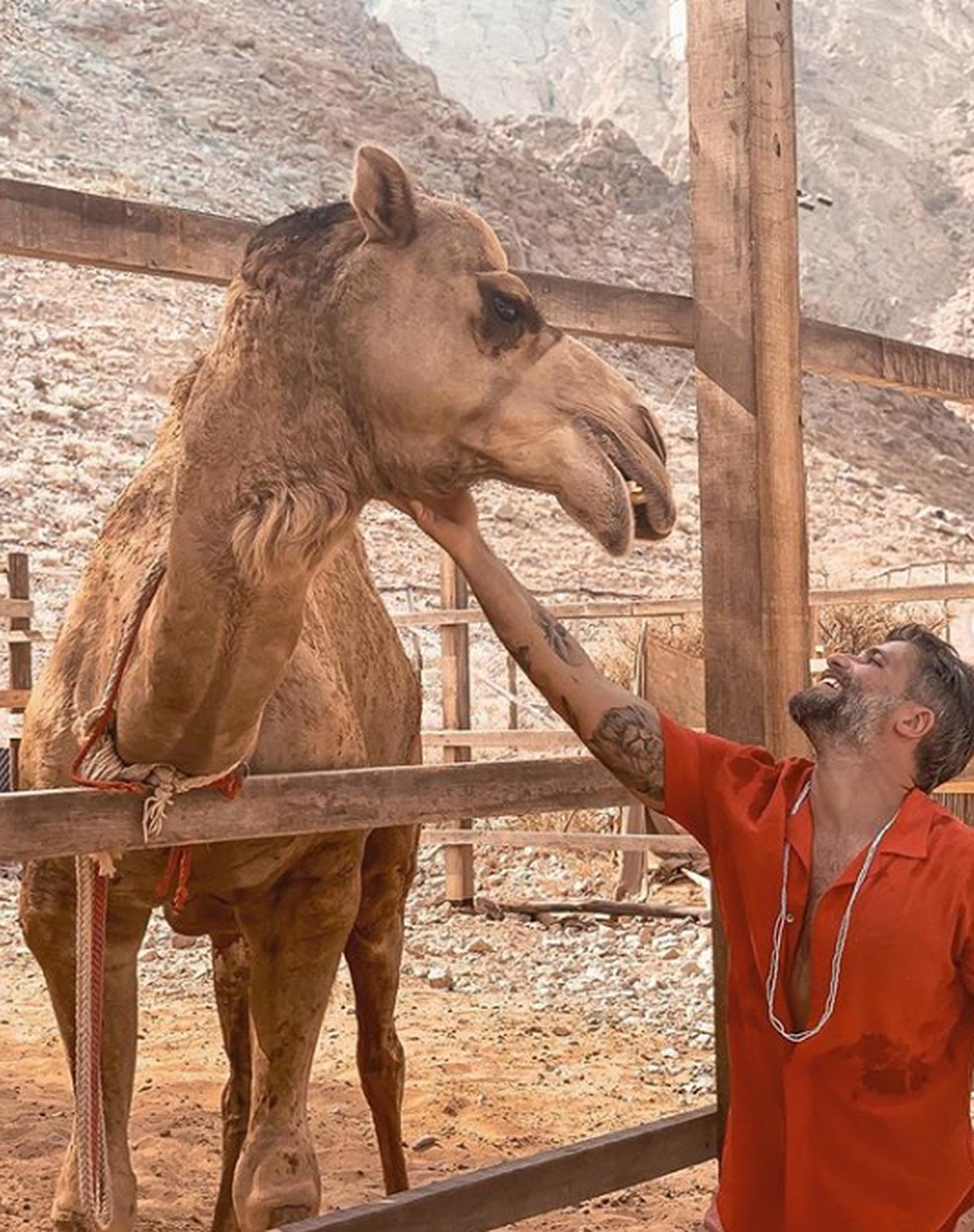Bruno Gagliasso se compara a camelo e Giovanna Ewbank afirma: 'Mesmo sorriso' — Foto: Reprodução/Instagram