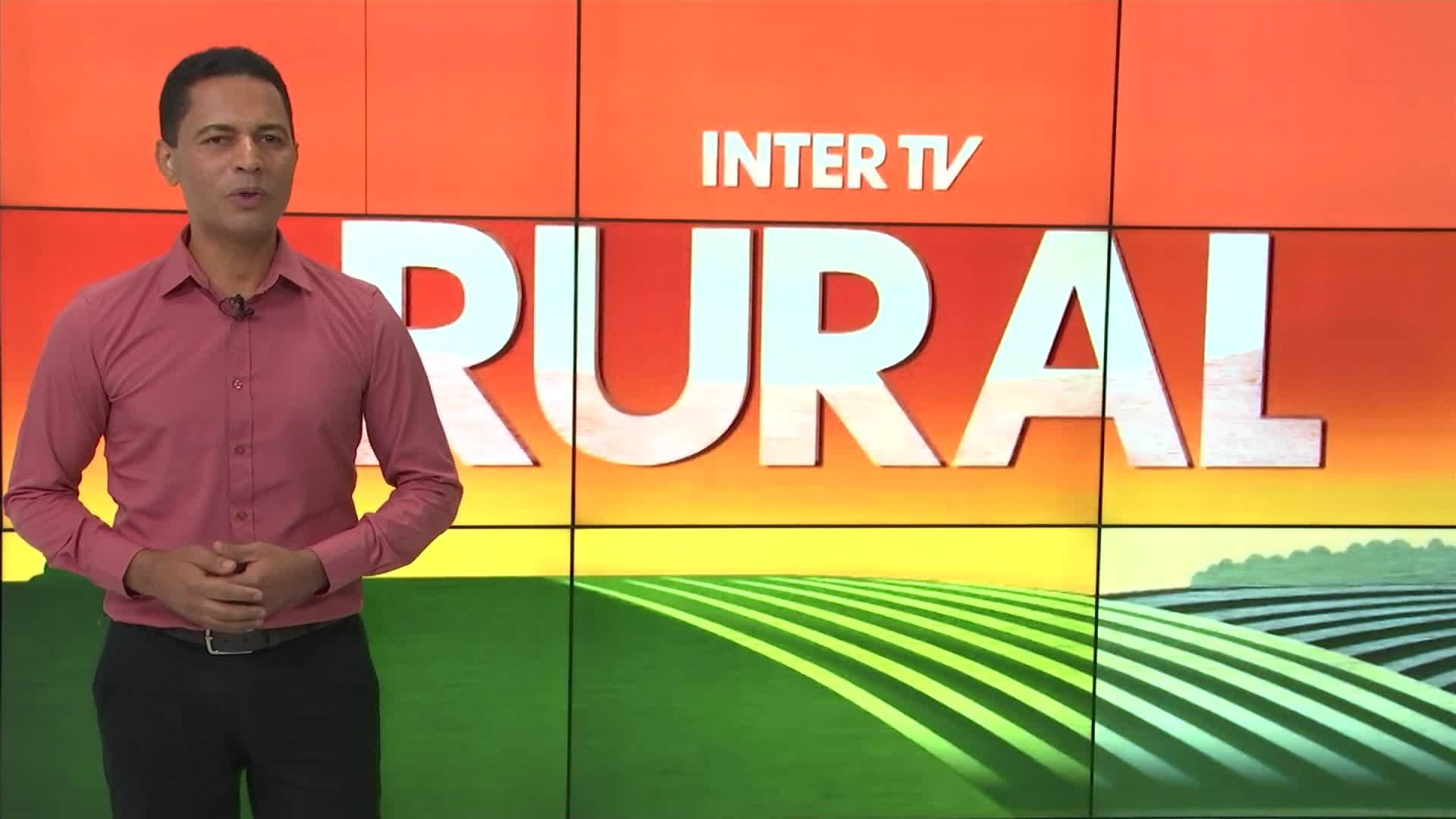 VÍDEOS: Inter TV Rural de domingo, 12 de janeiro de 2025 | Vales de ...