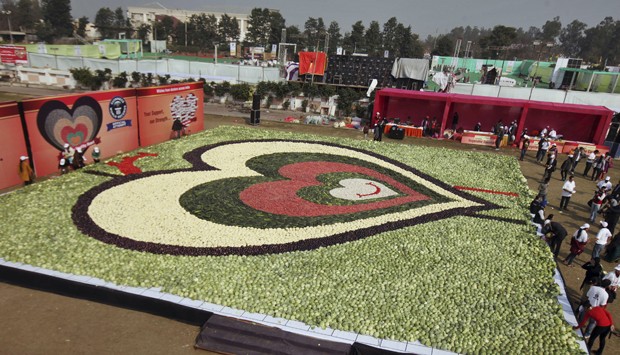 Associação quebrou recorde mundial ao montar mosaico de 479 metros quadrados feito apenas com legumes (Foto: Prabhjot Gill/AP)