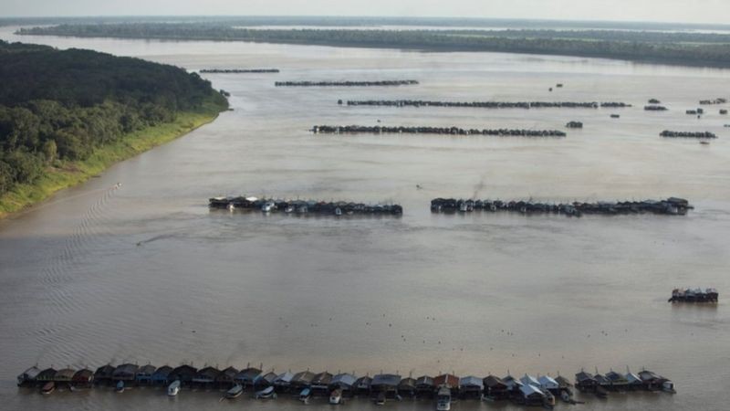 O MPF no Amazonas pediu ações emergenciais para a retirada das balsas (Foto: Reuters via BBC)