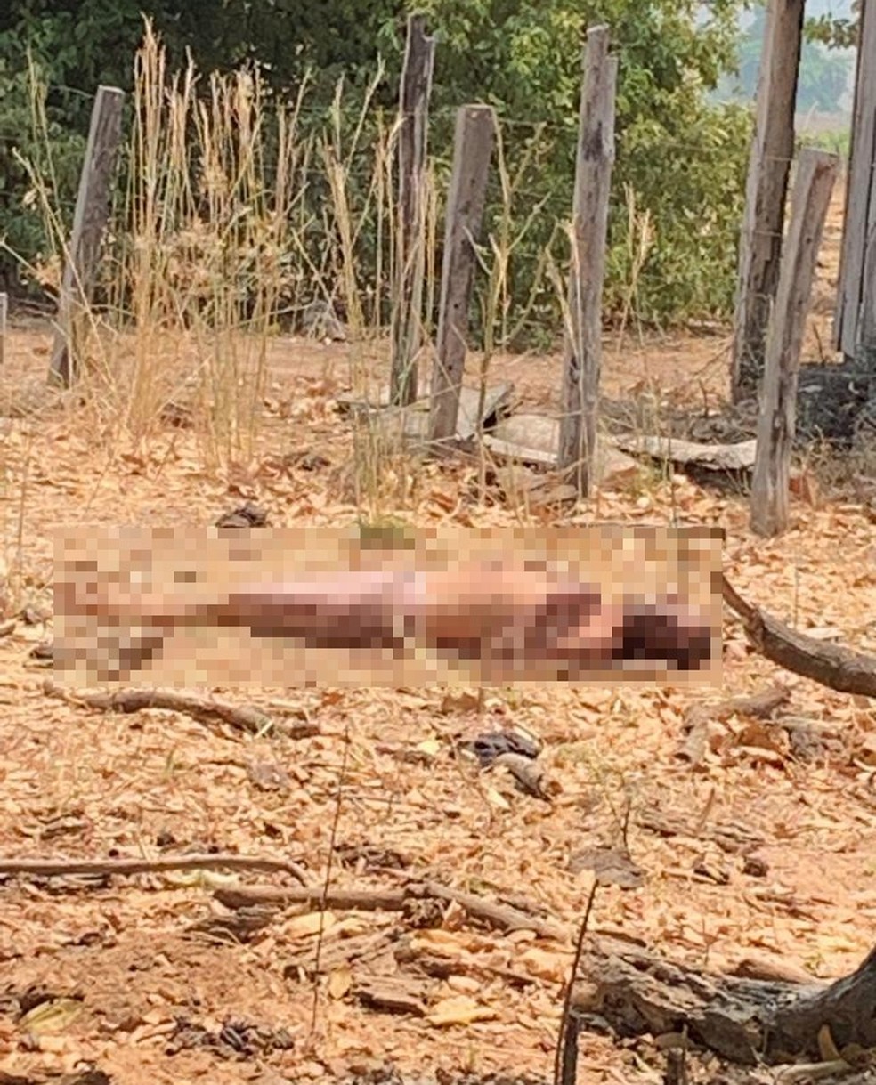 Bolsonarista é suspeito de matar petista em MT — Foto: Reprodução