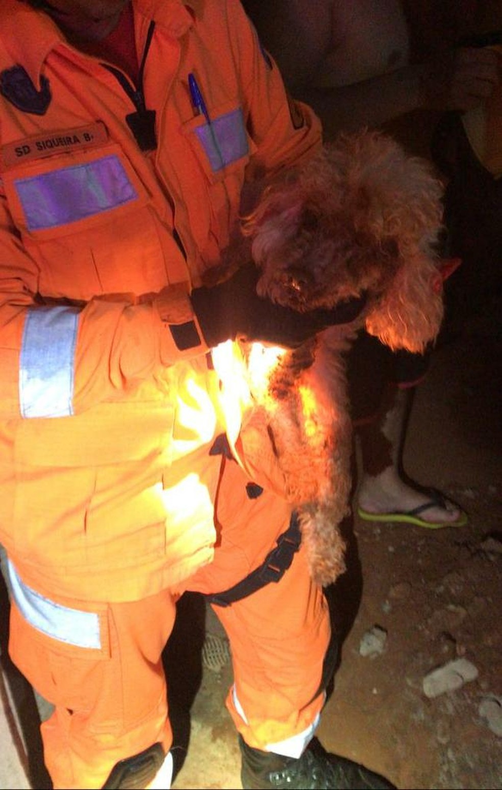 Momento do resgate da cachorra em Ituiutaba  — Foto: Corpo de Bombeiros/Divulgação