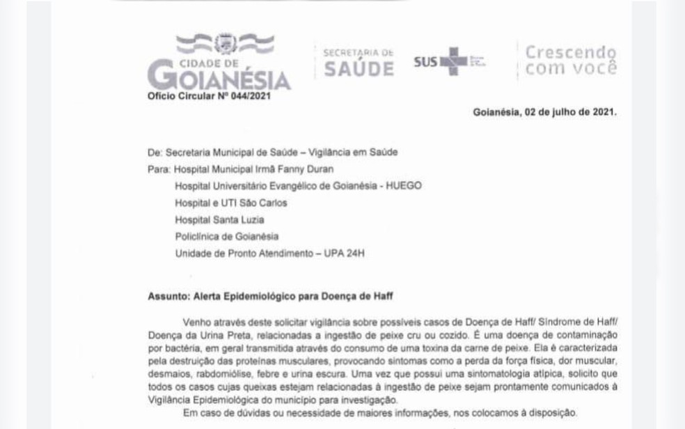 SMS de Goianésia enviou ofício a rede de saúde com alerta para pacientes com sintomas da doença da "urina preta" — Foto: Reprodução/SMS