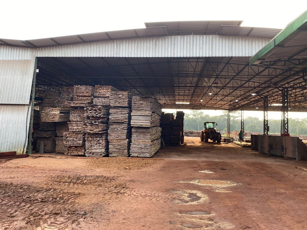 Madeira localizada durante investigações da operação Deforest 2, em Rondônia — Foto: Polícia Federal/Divulgação