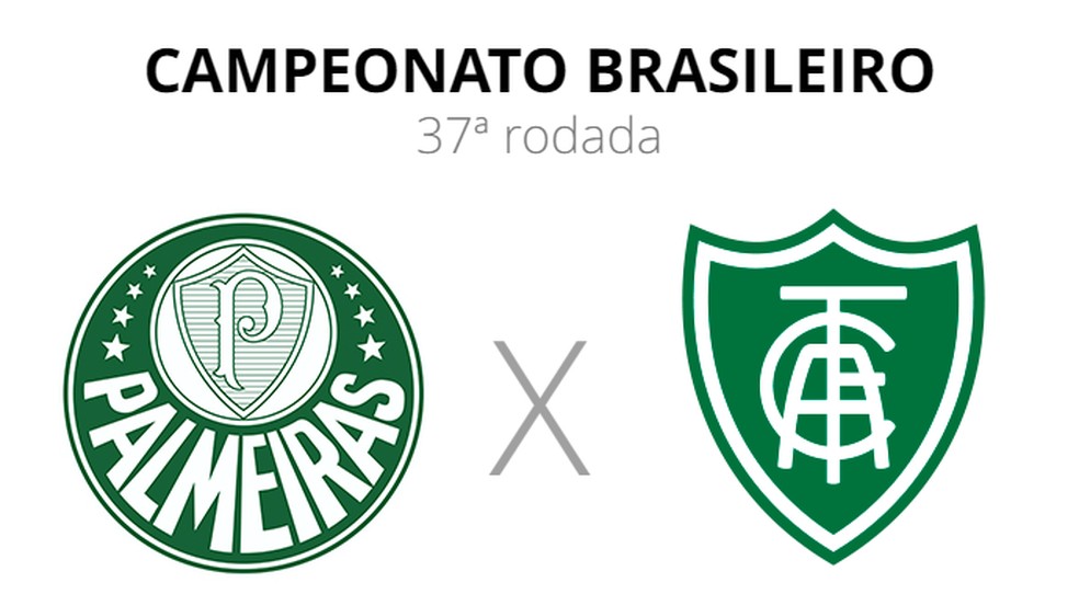 Palmeiras x América-MG — Foto: ge