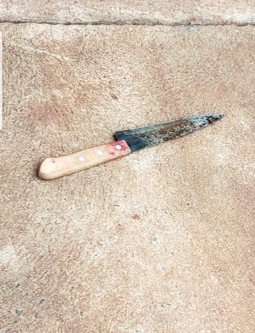 Faca que mulher usou para matar amiga, em Paranaíba (MS). — Foto: Polícia Civil/Dvulgação