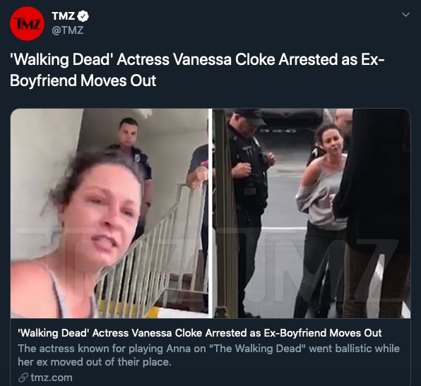 Um tuíte mostrando registros da atriz Vanessa Cloke após ser detida por policiais nos EUA (Foto: Twitter)