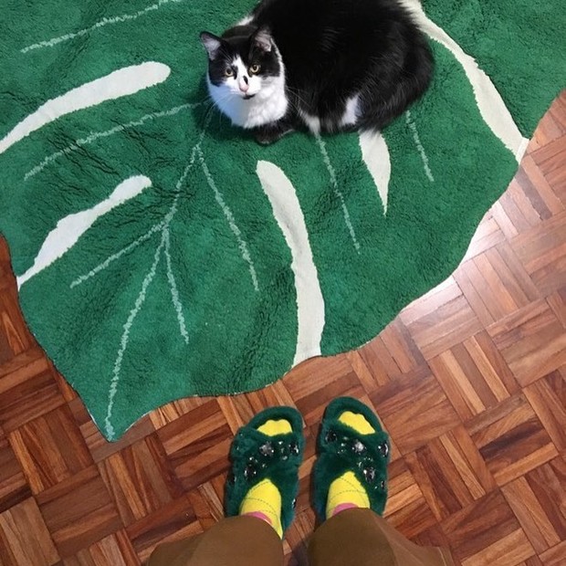 Nossa diretora de conteúdo Paula Merlo conta como suas duas gatinhas têm ajudado durante o isolamento social (Foto: Reprodução/ Instagram)