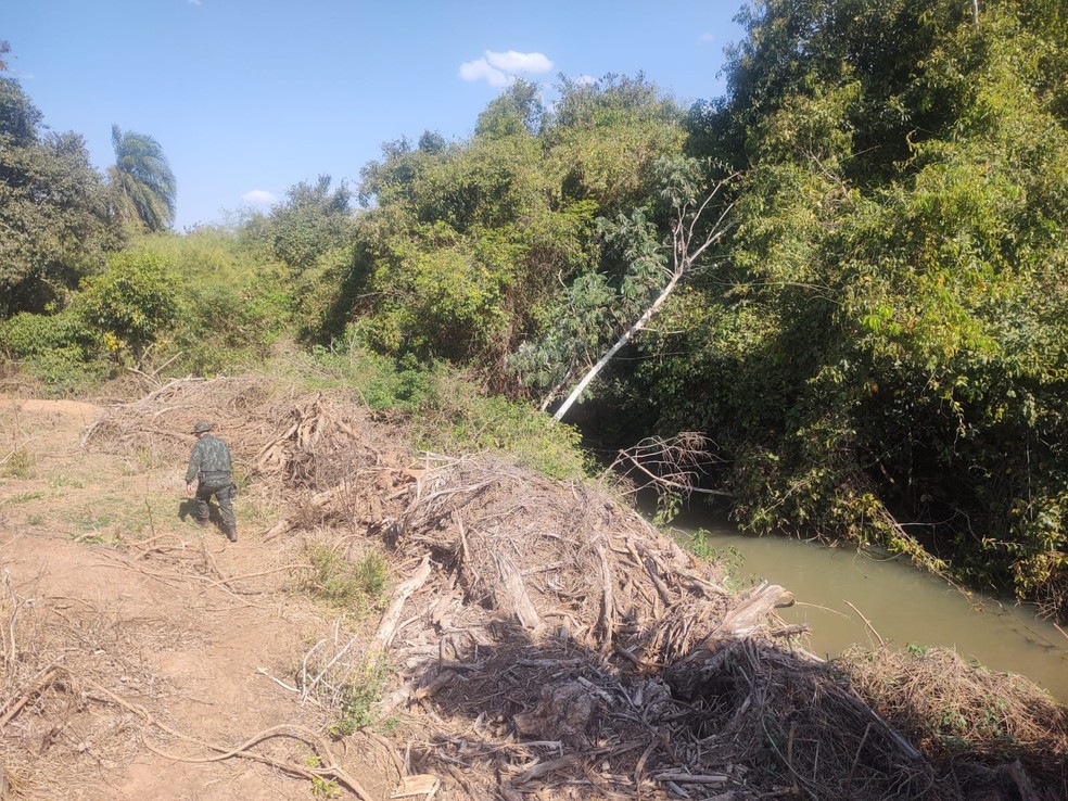 Vegetação nativa à beira de curso d'água foi destruída — Foto: Polícia Ambiental 