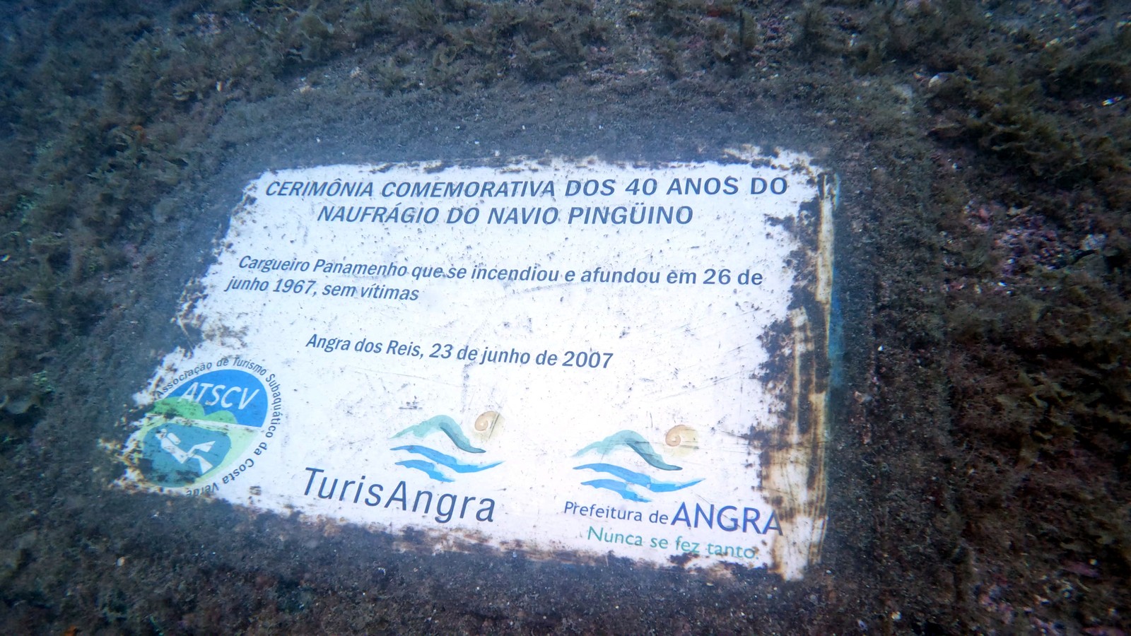 Placa comemorativa dos 40 anos de naufrágio do graneleiro Pinguino — Foto: Daniel Navarro e Fernando Dotta / @JambaDive