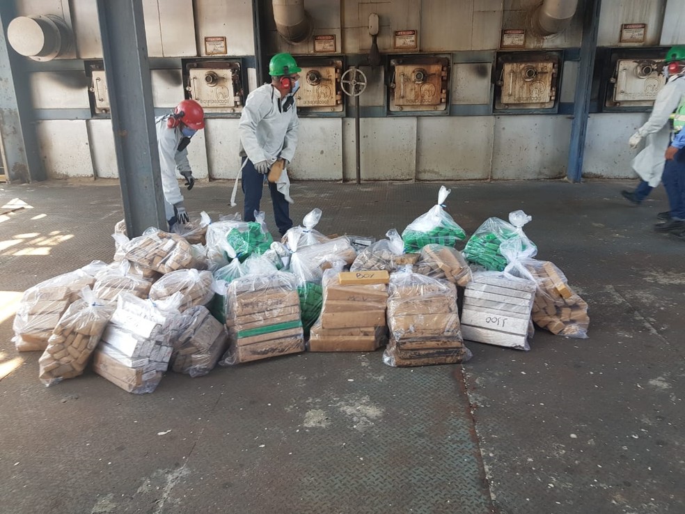 Mais de 600 quilos de drogas foram incinerados nesta quarta-feira (15) — Foto: Polícia Civil