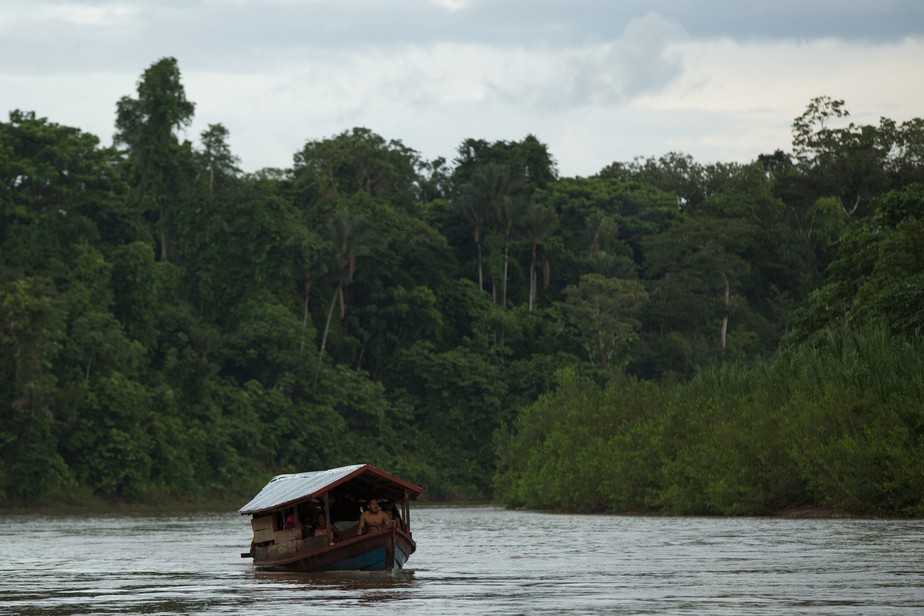 Pesquisa alerta sobre risco de epidemias e pandemias surgidas da amazônia