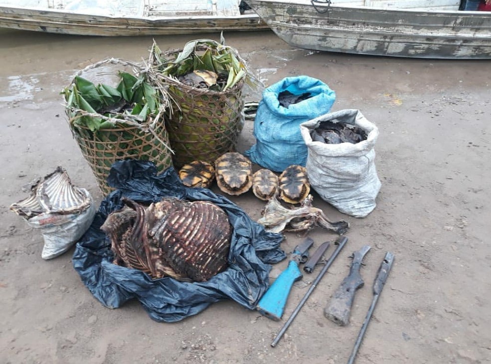 Carne de animais silvestre e jabutis vivos também foram encontrados — Foto:  Batalhão de Policiamento Ambiental 