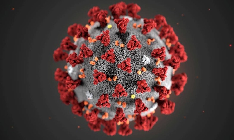 Estrutura do coronavírus. — Foto: CDC/via REUTERS/Site: O Globo