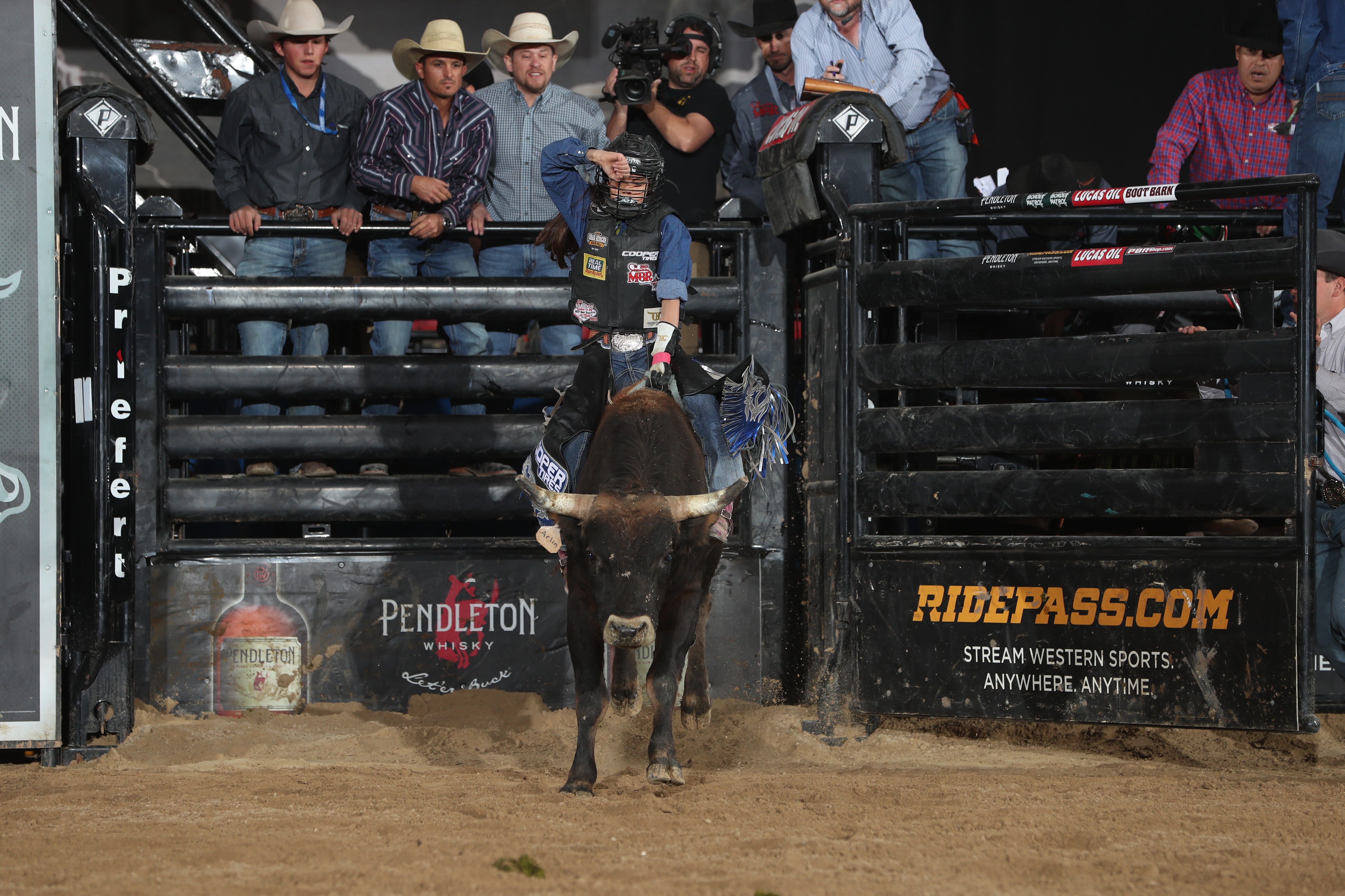 Adesivo de rodeio cavalo pulando