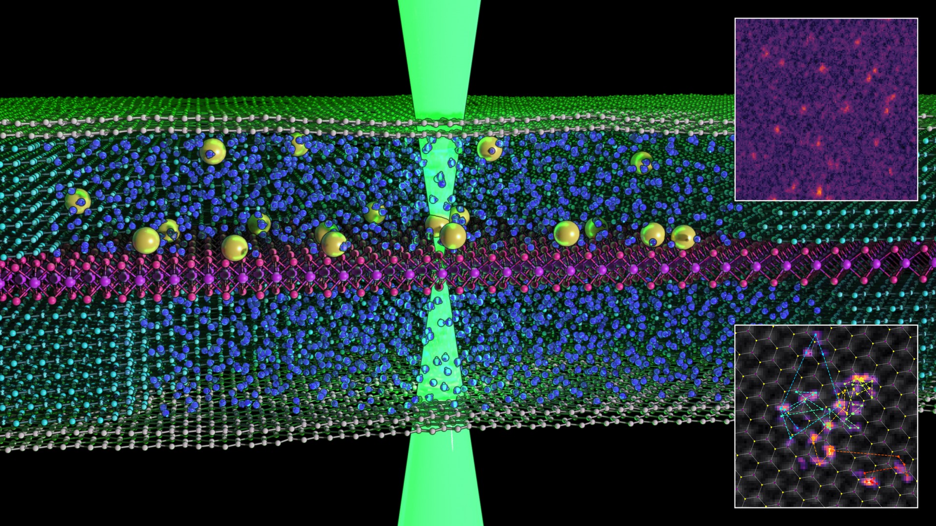 Pela primeira vez, cientistas registraram imagens de átomos nadando em líquido  (Foto: The University Of Manchester )