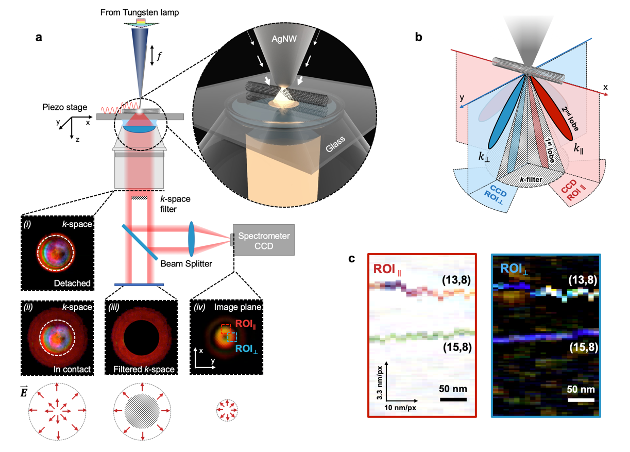 A luz “branca” de uma lâmpada de tungstênio é focada na ponta de um nanofio de prata para verificar a dispersão de luz e a absorção de uma amostra com alta fidelidade (Foto: Ma et. Al, 2021)