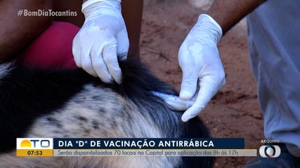 Dia D de Vacinação antirrábica vai ter 70 locais para aplicação em Palmas