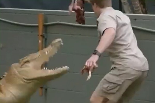 Robert Irwin quase foi atacado pelo crocodilo Casper  (Foto: Reprodução)