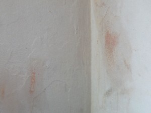 Parede de cômodo onde suspeito estava ficou suja de sangue (Foto: Roberto Strauss/ G1)