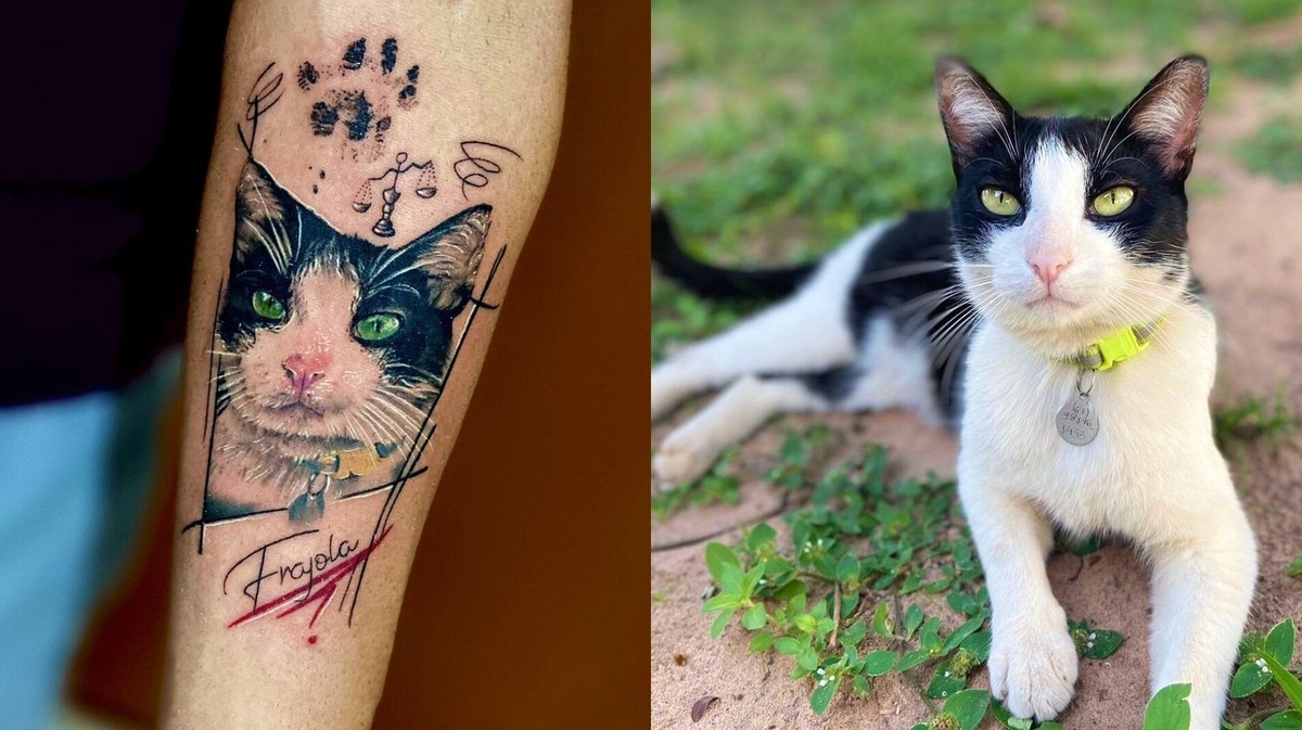 Tutor de primeiro ‘gato comunitário’ de MS tatua rosto de Frajola: ‘amor muito grande’ | Mato Grosso do Sul