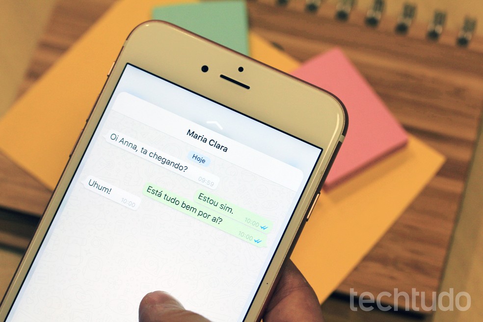 Como descobrir WhatsApp clonado? Verificar as mensagens enviadas e visualizadas é uma das dicas — Foto: Anna Kellen Bull/TechTudo