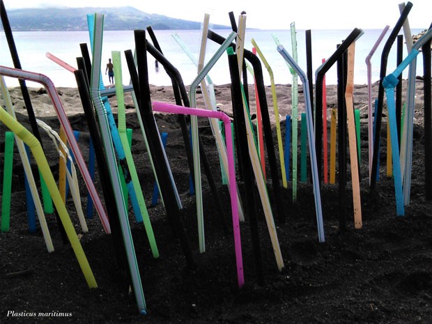 Bióloga transforma em arte lixo que encontra nas praias (Foto: Divulgação)