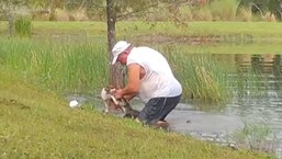 Vídeo: dono resgata cachorro de apenas 3 meses que foi abocanhado por jacaré nos EUA
