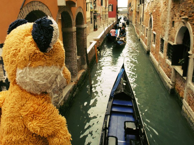 Mr. Fox em Veneza (Foto: Jessica Johnson/Arquivo pessoal)