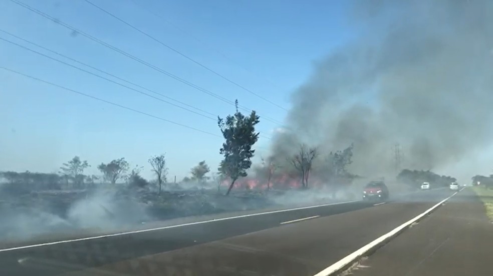 Fogo atingiu vegetação às margens da SP-284, entre Martinópolis e Rancharia, nesta terça-feira (1º) — Foto: Marcelo Pereira/TV Fronteira