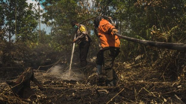 A Indonésia conseguiu reduzir em 40% o desmatamento em 2018, na comparação com a média dos anos anteriores (Foto: Getty Images)