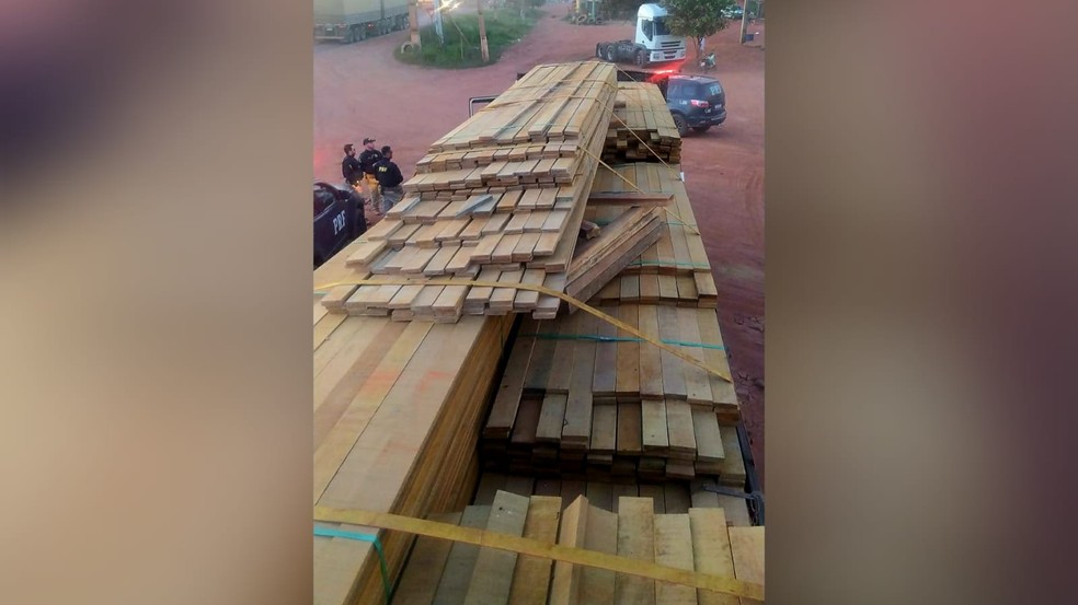  Carga de madeira ilegal avaliada em R$ 250 mil é apreendida pela PRF na BR-163 em Itaituba — Foto: PRF