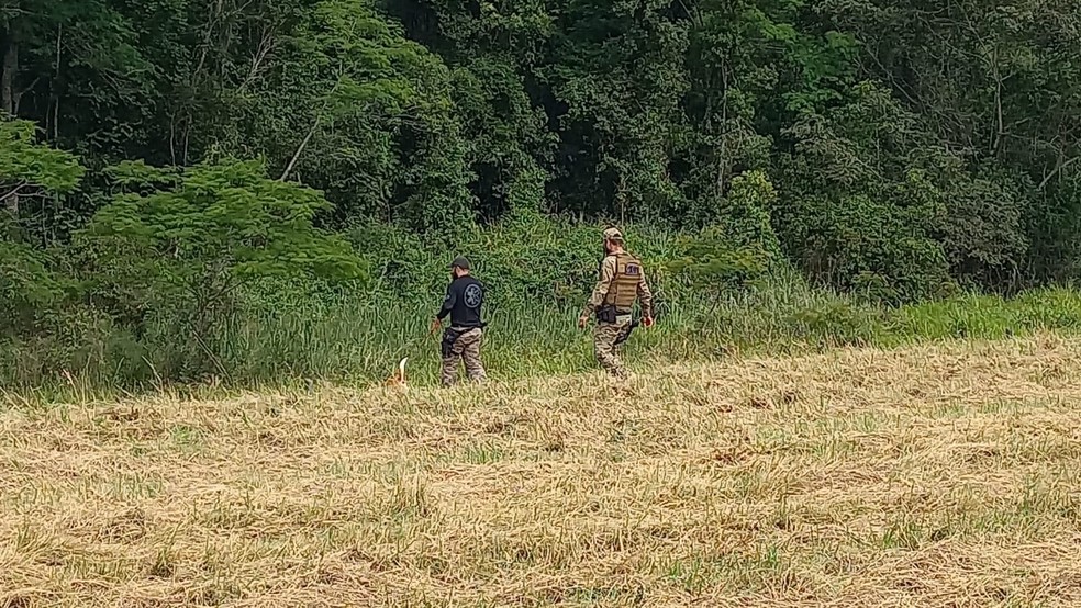 Polícia usa cães farejadores em buscas por dentista desaparecido em Taubaté — Foto: Arquivo Pessoal