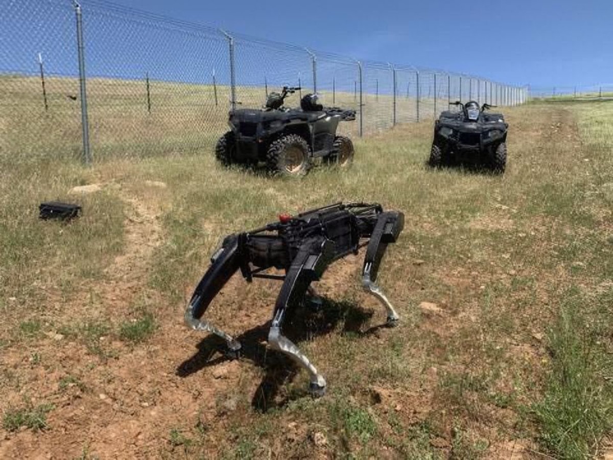 Estados Unidos testam cães robôs para ajudar a monitorar fronteiras | Inovação