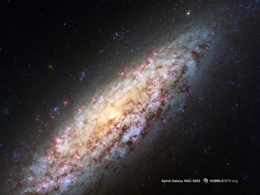 Galáxia espiral NGC 6503 (Foto: NASA, ESA, STScI/AURA)
