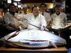 Primeiro atum do ano é leiloado no Japão por R$ 474 mil