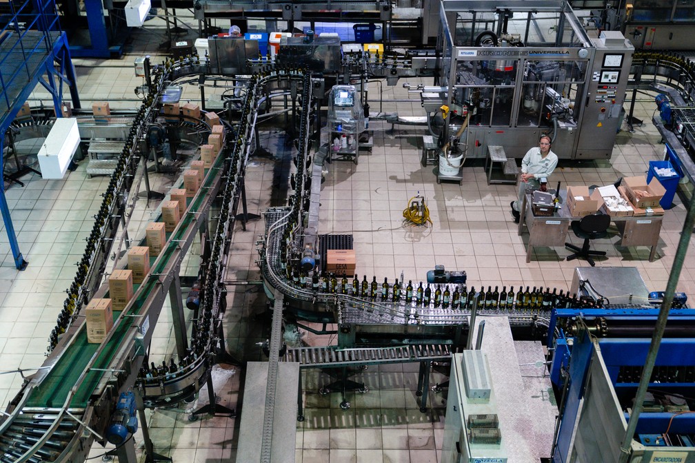 Produção de vinhos e espumantes em Bento Gonçalves: turista passeia por toda o processo de fabricação — Foto: Marcelo Brandt/G1