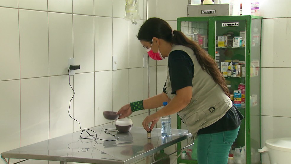Hellen Macedo usa a aromaterapia para tratar animais silvestres — Foto: Reprodução/TV Globo