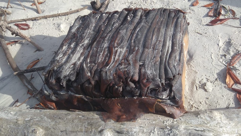Pacote encontrado na praia de Algodoal, no litoral paraense. — Foto: Reprodução / Ideflorbio