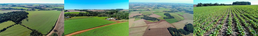 Fotos aéreas de Giruá no Rio Grande do Sul dão demonstração de áreas de plantações ameaçadas pela ação dos gafanhotos polífagos, que comem qualquer tipo de verde que vejam na frente   — Foto: César Cocco/Acervo Pessoal