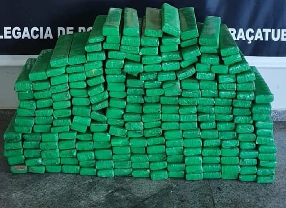 Polícia apreendeu 219 tabletes de maconha, na Rodovia Marechal Rondon, em Coroados (SP) — Foto: Polícia Rodoviária/Divulgação