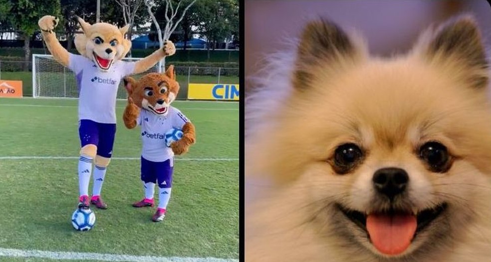 Novo Raposão gerou protestos de parte da torcida do Cruzeiro e gerou memes — Foto: Reprodução/rede social