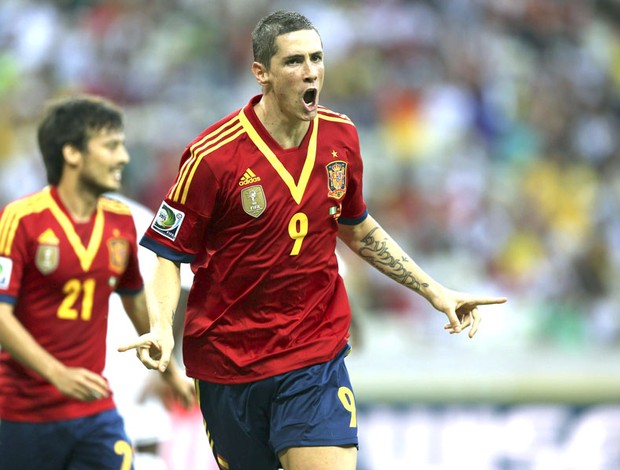 Fernando Torres comemora gol da Espanha contra a Nigéria (Foto: Agência EFE)