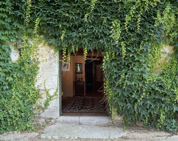View of an ivy covered wall of a house. (Photo by Quick Image/Construction Photography/Avalon/Getty Images) (Foto: Getty Images)