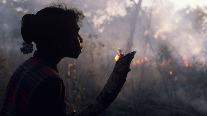 Incêndios na Austrália: por que os aborígenes dizem que a mata precisa queimar thumbnail