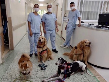 Uma modalidade das intervenções assistidas por animais é a atividade assistida por animais, que inclui visitas em hospitais (Foto: Arquivo Pessoal/ Patas Therapeutas)