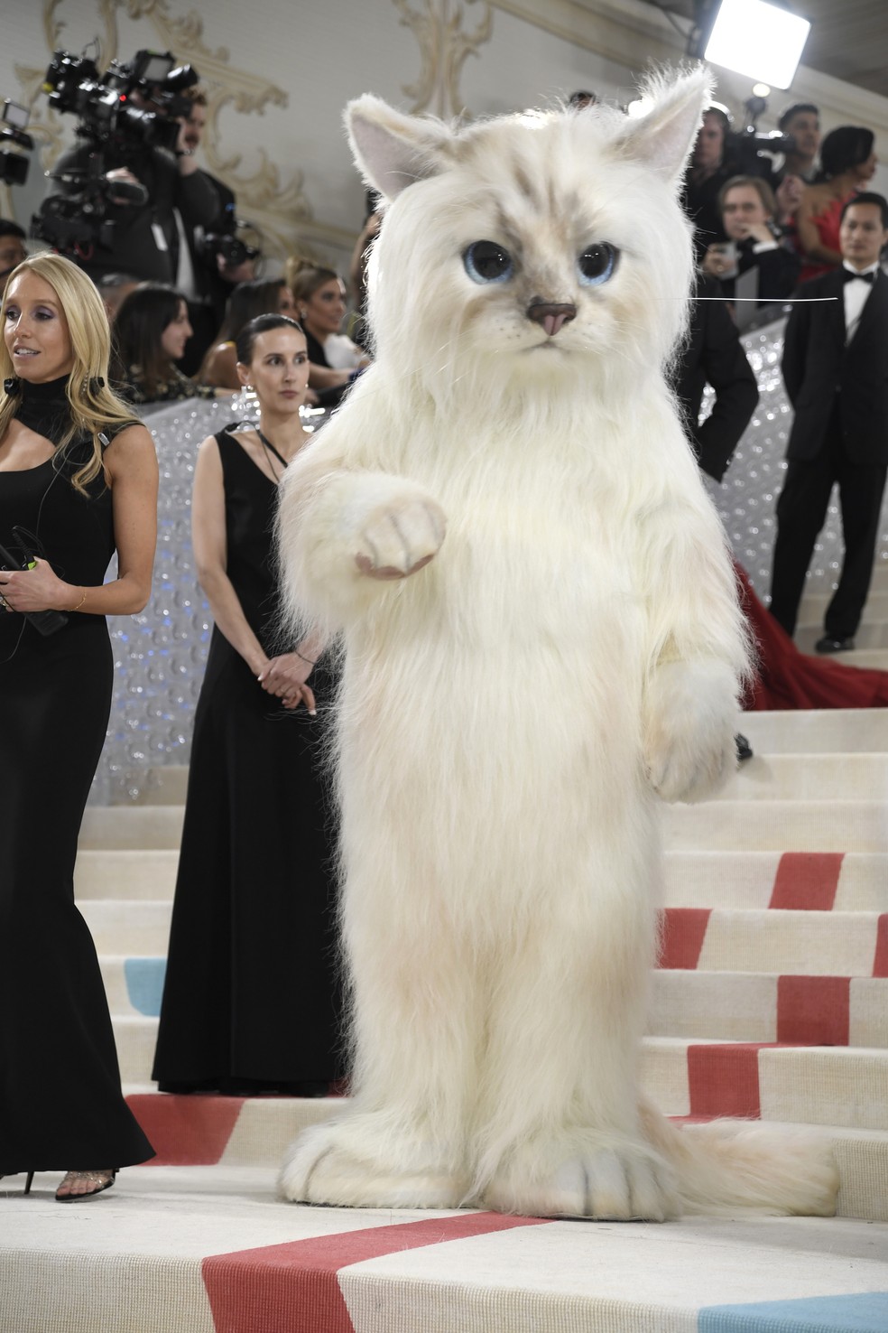 Jared Leto vestido de Choupette, a gata de Karl Lagerfeld, no Met Gala 2023 — Foto: Evan Agostini/Invision/AP