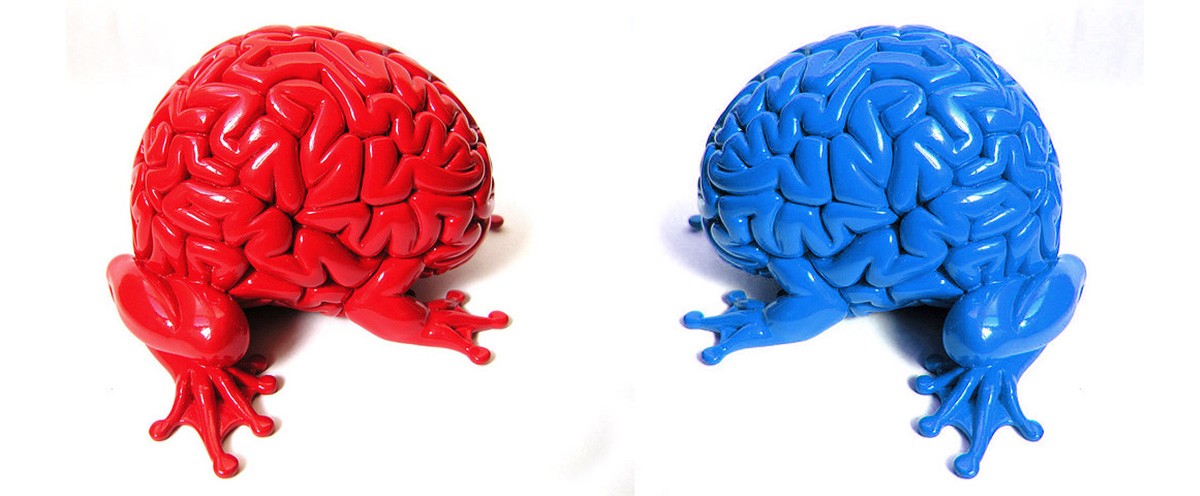 Experimentos na área de neurociência indicam que existem cérebros de pessoas com visões políticas contrárias são diferentes (Foto: Flickr)
