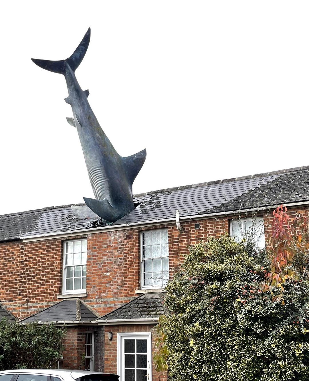Na Inglaterra, escultura de tubarão é retirada de casa após local virar patrimônio cultural (Foto: Reprodução/ Instagram/ @harveyhollandltd)